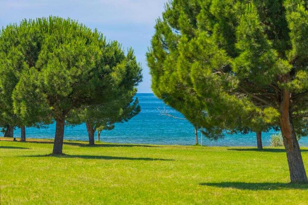 Uz more, između Umaga i Novigrada